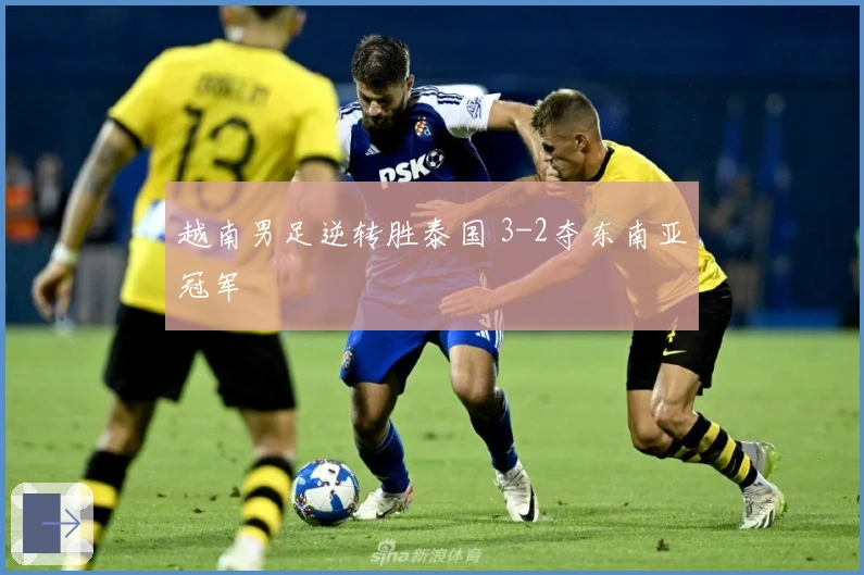 越南男足逆转胜泰国 3-2夺东南亚冠军