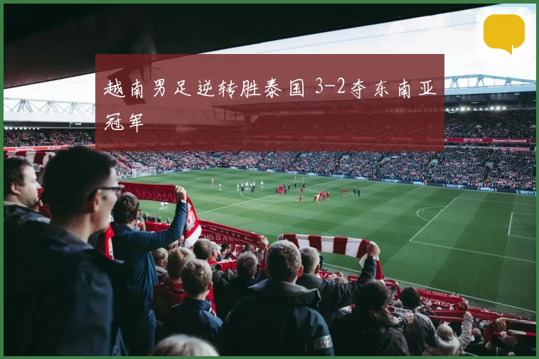 越南男足逆转胜泰国 3-2夺东南亚冠军